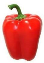 Pimentão Vermelho - 400mg De Sementes