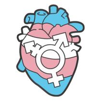 Pin Coração Trans