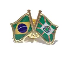 Pin Da Bandeira Do Brasil X Goiânia - Mundo Das Bandeiras