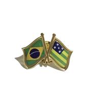Pin Da Bandeira Do Brasil X Goiás
