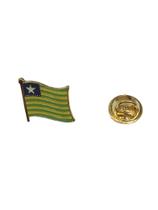 Pin Da Bandeira Do Estado Do Piauí