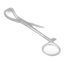 Pinça Backhaus 8Cm Para Campo 0661 Abc Instrumentos Pinça Backhaus 8Cm Para Campo 0661 Abc Instrumentos