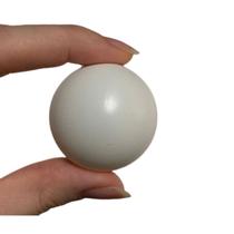 Ping-Pong Bola Tênis de Mesa Procópio 38mm Branca Avulsa Ping-Pong Bola Tênis de Mesa Procópio 38mm Branca Avulsa
