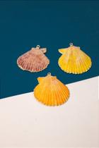 Pingente Concha Natural - 01 Und