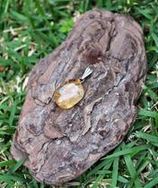 Pingente de Citrino Rolado- Signo de Leão Pingente de Citrino Rolado- Signo de Leão