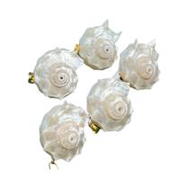 Pingente De Concha Branca Natural 5 Peças/conjunto 25-40mm, Charms Boho Para DIY Em Joias, Colares E
