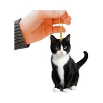 Pingente Decorativo De Pelúcia Acrílica 2D De Gato Branco Preto Para Espelho Retrovisor De Carro