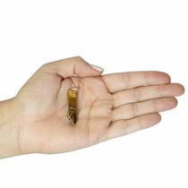 PINGENTE FIGA OLHO DE TIGRE - (2,5 a 4)cm