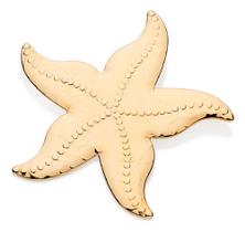 Pingente Formato Estrela Do Mar Com Trabalho 542791 Pingente Formato Estrela Do Mar Com Trabalho 542791