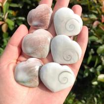 Pingentes De Conchas De Shiva Olho Coração Chakra Espécime Natural Para Meditação Fabricação De
