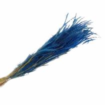 Pingo Neve Azul Flor Desidratada Buque Flores Secas Pingo Neve Azul Flor Desidratada Buque Flores Secas