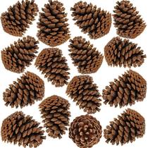 Pinha De Natal Natural Enfeite Quantidade:20 UNID