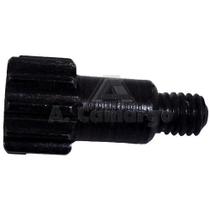 Pinhao 115550