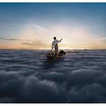 Pink floyd - the endless river