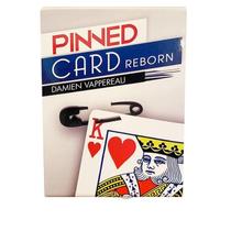 Pinned Card Reborn - Damien Vappereau B+ Pinned Card Reborn - Damien Vappereau B+