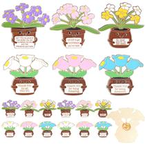 Pins Rivvlive 12 Unidades Pins de Flores "Obrigado Professor"
