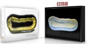 PINTANDO COM LUZ - UMA VISÃO PRIVILEGIADA DOS DENTES NATURAIS - 1ª EDIÇÃO - Santos Publicações PINTANDO COM LUZ - UMA VISÃO PRIVILEGIADA DOS DENTES NATURAIS - 1ª EDIÇÃO - Santos Publicações
