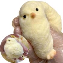 Pintinho Taba Squishy Mole Brinquedo Fidget Frango Antistres