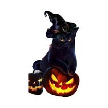 Pintura Em Tela De Gato Preto E Lua Para Halloween, Pôster De Alquimia, Mural Moderno Para Parede De