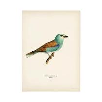 Pintura Em Tela Retro De Aves Vertebradas, Arte Realista De Cormorã, Mural Decorativo Para Sala De
