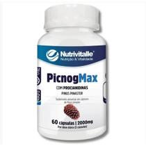 Pinus Pinaster 2000 mg 60 cápsulas Nutrivitalle