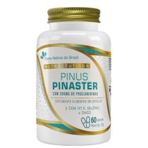 Pinus Pinaster 200mg com Vitamina E, Zinco e Selênio 60 Cápsulas Flora Nativa