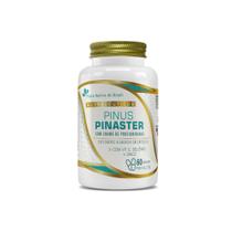 Pinus Pinaster 200mg de Procianidinas 60 cps Flora Nativa Pinus Pinaster 200mg de Procianidinas 60 cps Flora Nativa