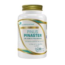 Pinus Pinaster 200mg + Vit E, Selênio e Zinco 60 Cápsulas Flora Nativa Pinus Pinaster 200mg + Vit E, Selênio e Zinco 60 Cápsulas Flora Nativa