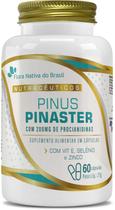 Pinus Pinaster com 200mg de Procianidimas + Vit E, selênio e zinco - Flora Nativa do Brasil