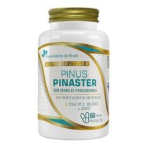 Pinus Pinaster Flora Nativa 60 Cápsulas Sabor Sem Sabor Pinus Pinaster Flora Nativa 60 Cápsulas Sabor Sem Sabor