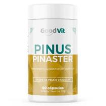 pinus pinaster pinus pinaster
