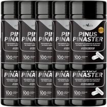 Pinus Pinaster Picno Procianidinas Extrato 10 Frascos 1000 cáps - Ervais