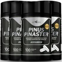Pinus Pinaster Picno Procianidinas Extrato 4 Frascos 400 cáps