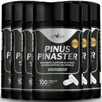 Pinus Pinaster Picno Procianidinas Extrato 6 Frascos 600 cáps