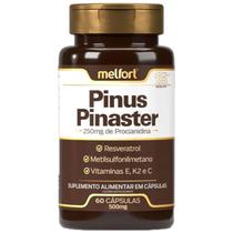 Pinus Pinaster Resveratrol MSM Vitaminas C E K2 60 Caps 500mg Melfort