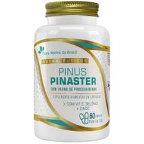 Pinus Pinaster + Vitamina E, Selênio E Zinco 60 Cápsulas - Flora nativa