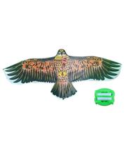 Pipa Em Poliéster Formato Águia 3d Várias Cores Pipa Em Poliéster Formato Águia 3d Várias Cores