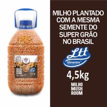 Pipoca Gourmet 4,5kg Milho Mushroom Receitas Doces e Salgadas