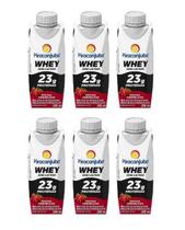 Piracanjuba Whey Frutas Vermelhas Zero Lactose 250ml Kit C/6