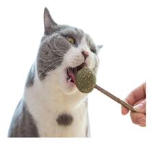 Pirulito Bola Catnip Para Gato Cabo De Madeira Limpa Dente