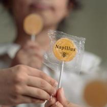 Pirulito Extrato de propolis e mel Napillus 10 unidades