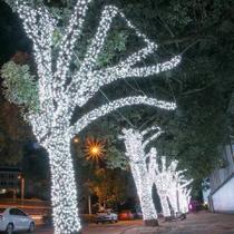 Pisca Pisca 10M 100 Leds 220V 8 Funções Fio Transparente Luz De Natal Forte Iluminação