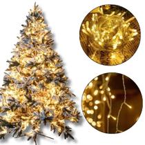 Pisca Pisca LED 100 Luzes 100m Fio Transparente 8 Funções Luz Qeunte Iluminação Natalina e Decorativa 220V