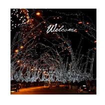 Pisca Pisca LED 127V fio Transp 100L 9m 8F Pisca Pisca LED 127V fio Transp 100L 9m 8F