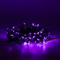 Pisca Pisca Varal de Luz Decoração de Natal 100 LEDs 8 Metros Roxo 127V 220V Haiz