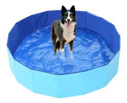 Piscina Para Pets Cachorro Média 80 x 20 cm, 150 litros, Super Resistente - Cor Sortida