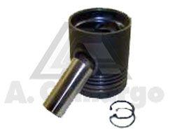 Pistao caneis p&a-933 std