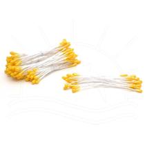 Pistilo de Massa Flor Diversa