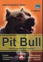 Pit bull american pit bull terrier