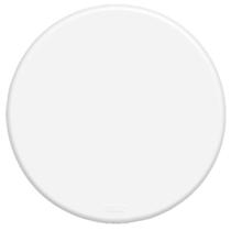 Placa 4' F0 R Blanc - 0520 - FAME